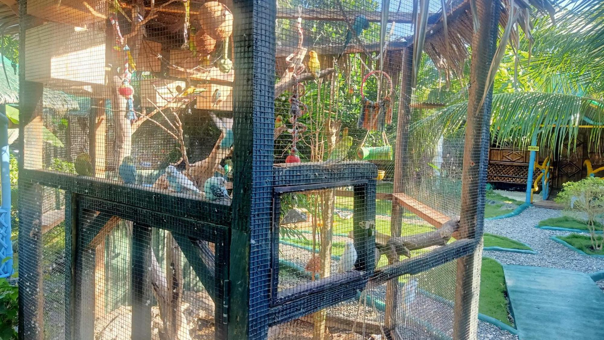 Moalboal Bamboo House / Rooms Zimmer foto
